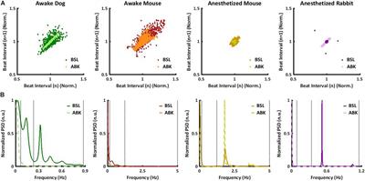 Opening the Schrödinger Box: Short- and Long-Range Mammalian Heart Rate Variability